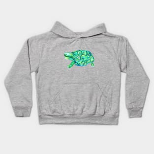 turtle painting Kids Hoodie